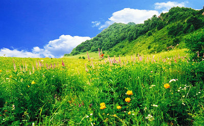 北京團建《百花山拓展訓練》